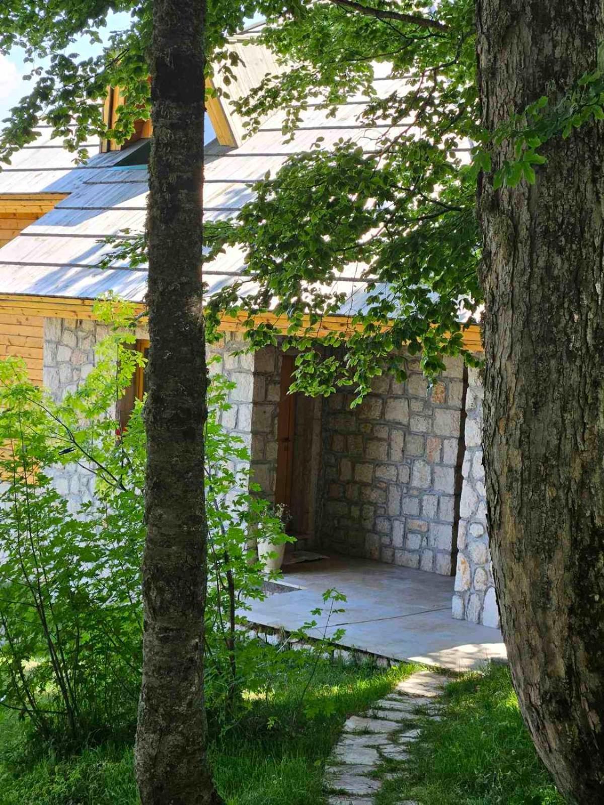 Green Forest Žabljak Buitenkant foto