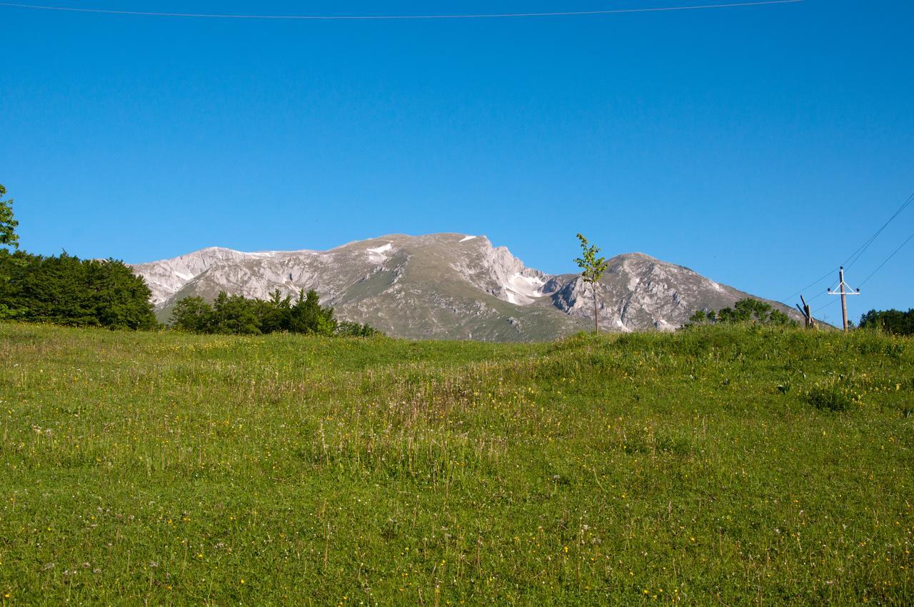 Green Forest Žabljak Buitenkant foto